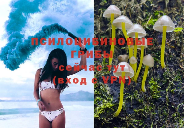 мяу мяу кристалл Заводоуковск